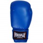 Боксерские перчатки PowerPlay 3004 12oz Blue (PP_3004_12oz_Blue)