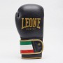 Рукавички боксерські Leone Italy Black 14 ун.