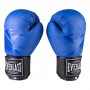 Боксерські рукавички EVERLAST DX матові 10oz EV3597/10B