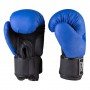 Боксерські рукавички EVERLAST DX матові 10oz EV3597/10B