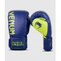 Боксерські рукавиці Venum Origins Boxing Gloves Loma Edition (VENUM-03942-405-16OZ)