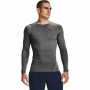 Compression T-shirt HG Armour Comp LS Grey - Under Armour S (194513897988)