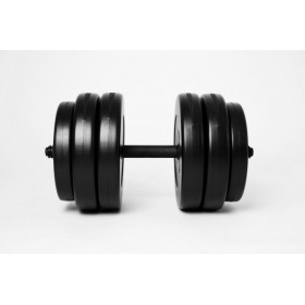 Гантель 25кг