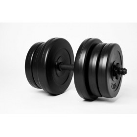 Гантель 20кг