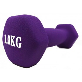 Гантелі Profi c покриттям неопрен 2х1 кг (MS 0109-1) Фіолетовий