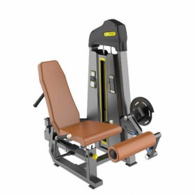 Згинач/розгибатель стегна під нахилом Fit-ON F90