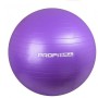 М'яч для фітнесу та гімнастики Profi Ball 75 см (Фітбол) Фіолетовий (GB 0383)
