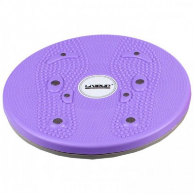 Диск обертається d25 см Purple Magnetic TR (LS3165B)