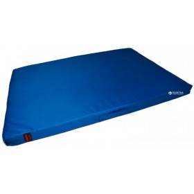 Мат гімнастичний Champion 100x100x8 см Синій (А00203)