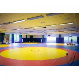 Татамі з центруванням Тіа-sport