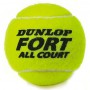 Тенісні м'ячі Dunlop Fort All Court 4ball