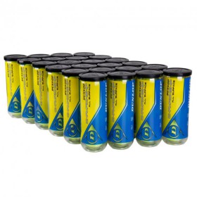 Тенісний м'яч Dunlop Championship All Surface 24 банки