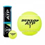 Тенісний м'яч DUNLOP ATP CHAMPIONSHIP 4Ball