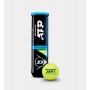 Тенісний м'яч DUNLOP ATP CHAMPIONSHIP 4Ball