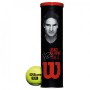 Тенісні м'ячі Wilson RF Legacy Tennis Balls, 4 м'ячі NEW (WRT11990M)