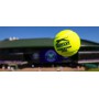 Тенісні м'ячі Slazenger Wimbledon Ultra VIS Hydroguard 4 ball 2018 (340918*4new)