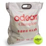М'яч для великого тенісу Odear Silver 60 шт код: BT-1781