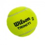 М'яч для великого тенісу Wilson Triniti 3 шт/, код: WRT125200-S52