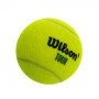 М'ячі для великого тенісу Wilson Tour Premier 3 шт салатовий WRT109400