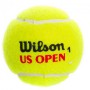 М'яч для великого тенісу WLS US OPEN WRT1071 3шт салатовий