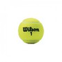 М'яч для великого тенісу WILSON CHAMPIONSHIP WRT100101 3шт салатовий