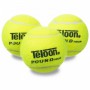 М'яч для великого тенісу TELOON POUND TOUR T828P3 3шт Салатовий (EK00454)