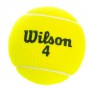 М'яч для великого тенісу WILSON AUSTRALIAN OPEN T1047 3шт салатовий