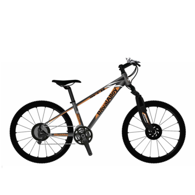 Велосипед RoyalBaby FEMA MTB 1.0 24", OFFICIAL UA, сірий