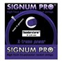 Струни тенісні Signum Pro Thunderstorm 12,2 m Товщина: 1.24 mm