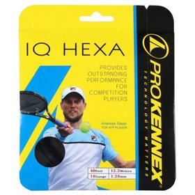 Струни для ракетки Pro Kennex IQ Hexa 12.2 м 1.23 мм синій (AYSG1904)