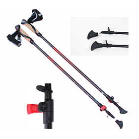 Палиці для скандинавської ходьби HIGH SPEED