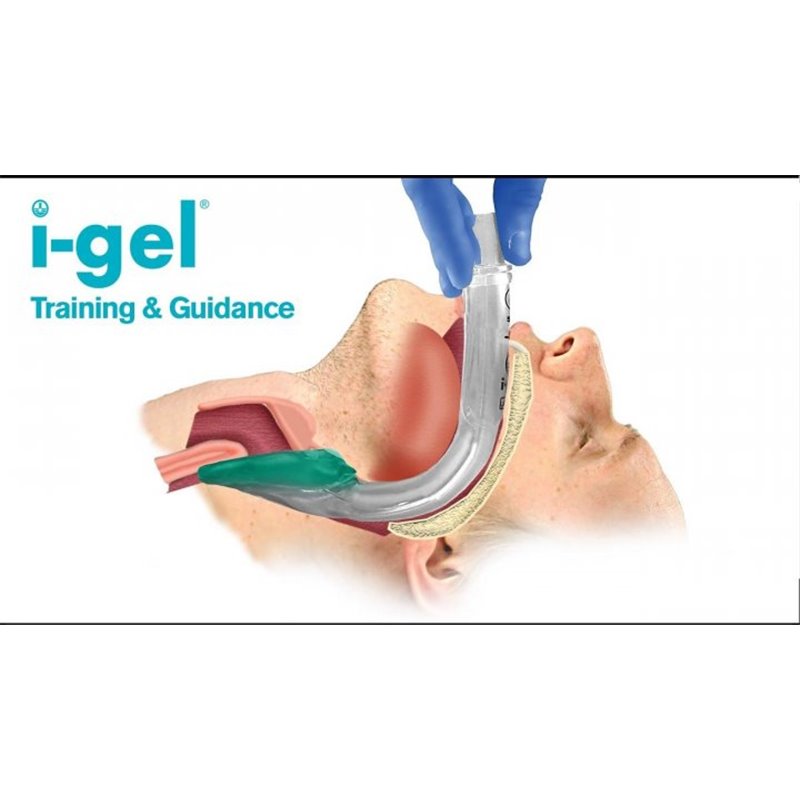 Купить Надгортанний повітропровід I-Gel 4 розмір (50-90кг) в Украине ...