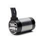 Team Magic THOR 3660 Brushless Motor 4400KV (11.1 V). 30590