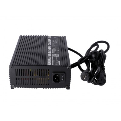 Зарядний пристрій для електровелосипедів Haibike Flyon 10а