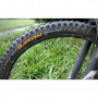 Покришка Continental Der Baron Projekt 29 x2. 4, фолдінг, Tubeless, ProTection Apex, Skin