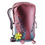 Рюкзак Deuter Gravity Rock&Roll 28 SL колір 5324 maron-arctic (3362219 5324)