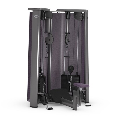 GYM80 SYGNUM Cable Art №1