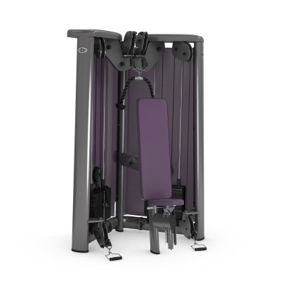 GYM80 SYGNUM Cable Art №5