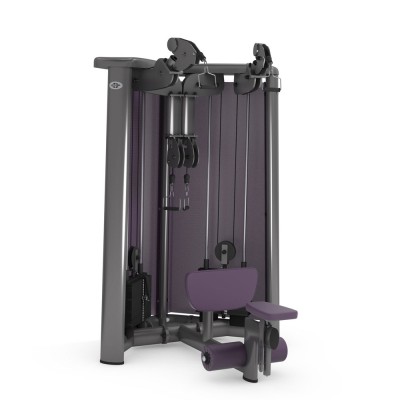 GYM80 SYGNUM Cable Art №4