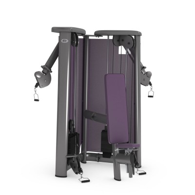 GYM80 SYGNUM Cable Art №3