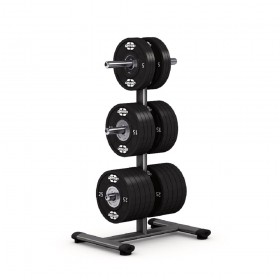 Стійка для дисків Gym80 Basic Disc Stand