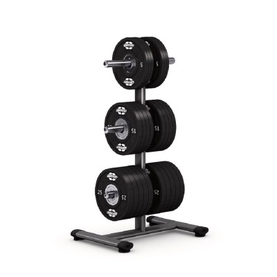 Стійка для дисків Gym80 Basic Disc Stand