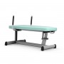 Gym80 Medical Lower Abdominal Bench