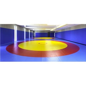 Борцівський килим олімпійський Lock-Mat комплект 10м х 10м 40 мм