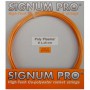 Струни тенісні Signum Pro Poly Plasma 12,2 m Товщина: 1.18 mm