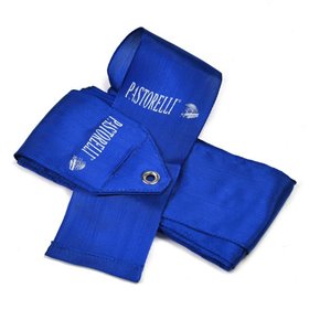 Стрічка Pastorelli FIG 6 м Синя